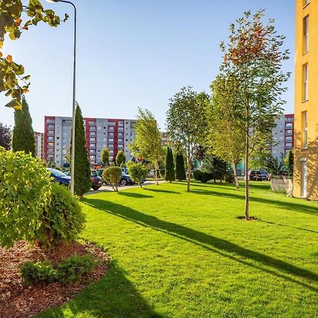 Apartment Richy Braşov Exteriör bild