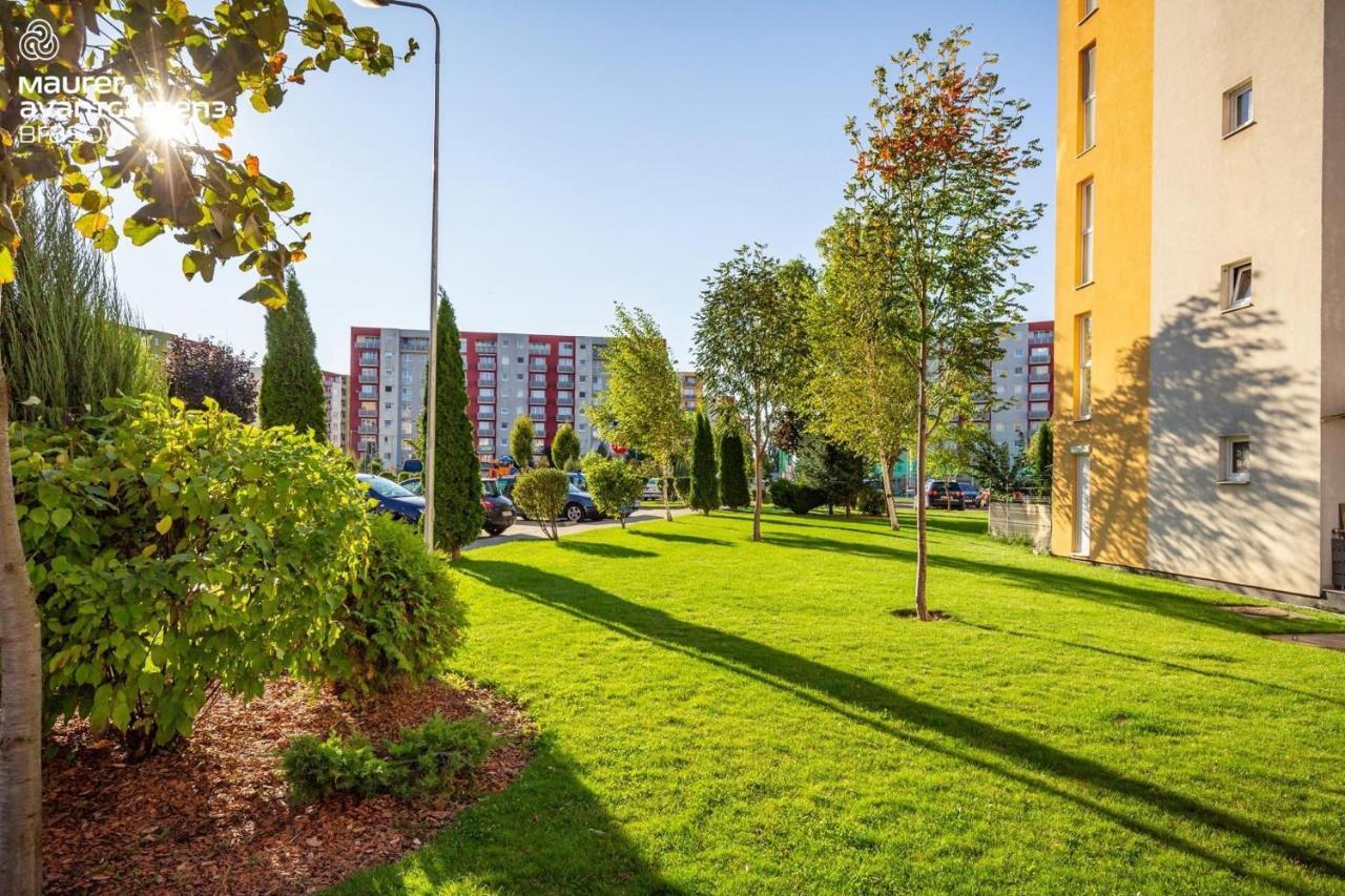 Apartment Richy Braşov Exteriör bild